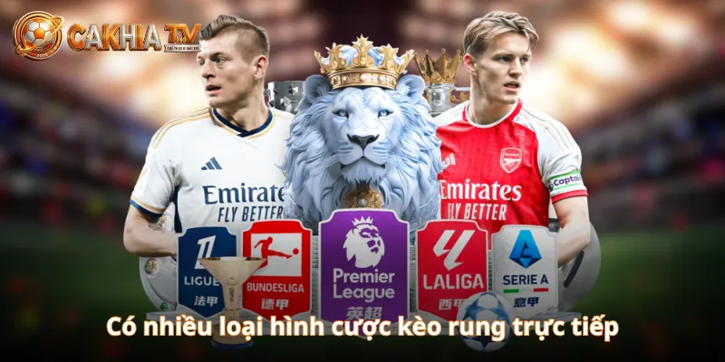 Có nhiều loại hình cược kèo rung trực tiếp